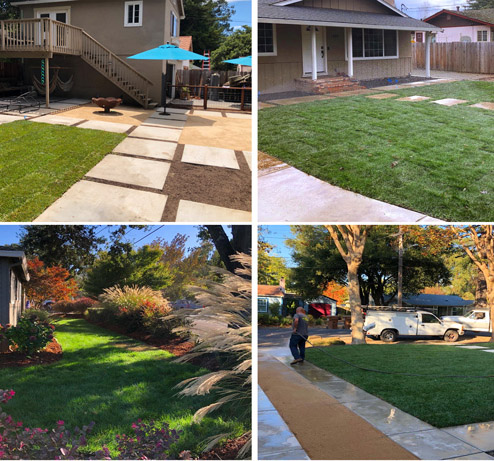 Four photos of Landscaping maintenance and installations we have done here in Napa, California