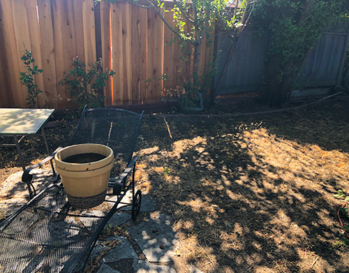 Pre-install view of backyard