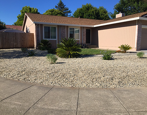 Final look at a minimalist rock install here in Napa CA