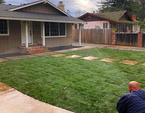 New lawn and planter areas installed in East Napa