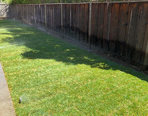 A new grass install in a backyard in central Napa