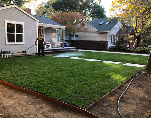 We remove dead or dying grass and put in spectacular lawns
