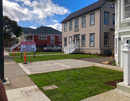 Fresh sod install with planter areas next to the buildings