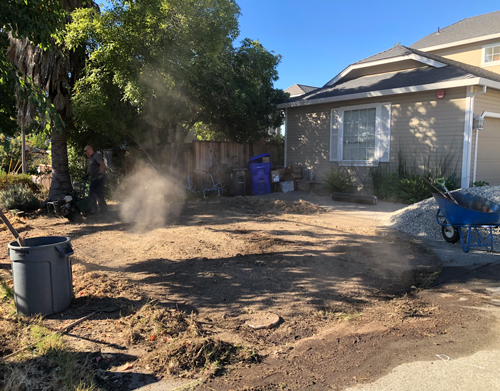 Removing the dead lawn