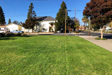 A wide expanse of green grass in Napa CA - a remider that we are fertilizing this October