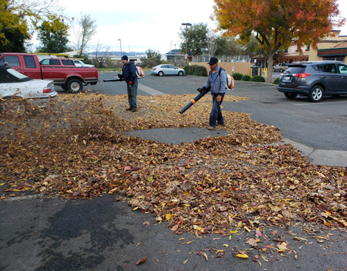 Vicente and Robert are blowing a commercial parking lot that is full of brown fall leaves