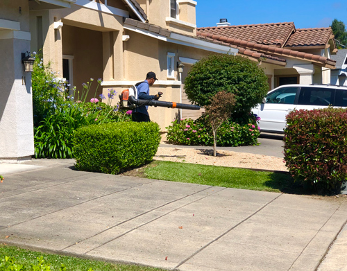 Vicente, our route one manager, blowing a residential property here in Napa, CA