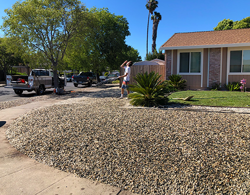 Rinsing the dust of the newly installed rock with a hose