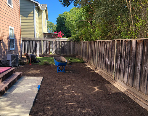 The sod install has started in the back corner