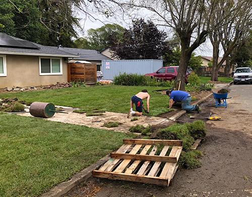 Our young helpers finishing off the last pieces of irregular-shaped sod rolls