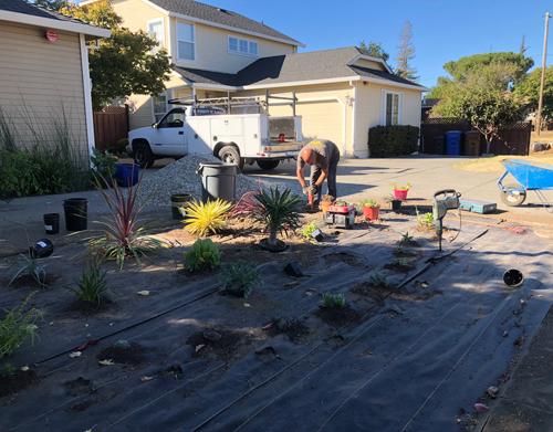 Preparing holes in tough ground for planting